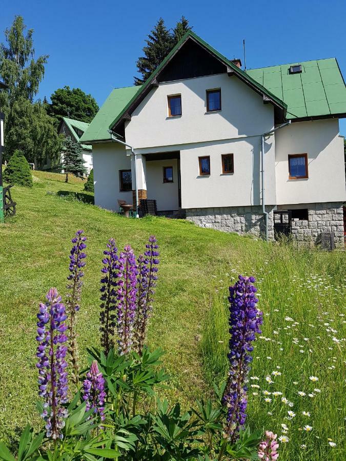 Апартаменти U Kobru Шпіндлерув-Млин Екстер'єр фото
